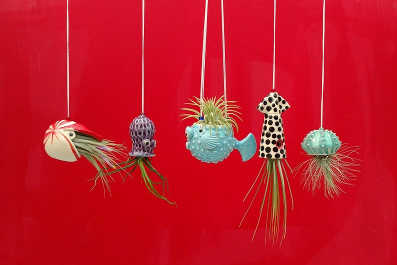 Christmas In Octopus Garden >> An Octopus Garden Collection Of 5 Mini Hanging Air Planters Gift For Mom Christmas In Octopus Garden >> An Octopus Garden Collection Of 5 Mini Hanging Air Planters Gift For Mom