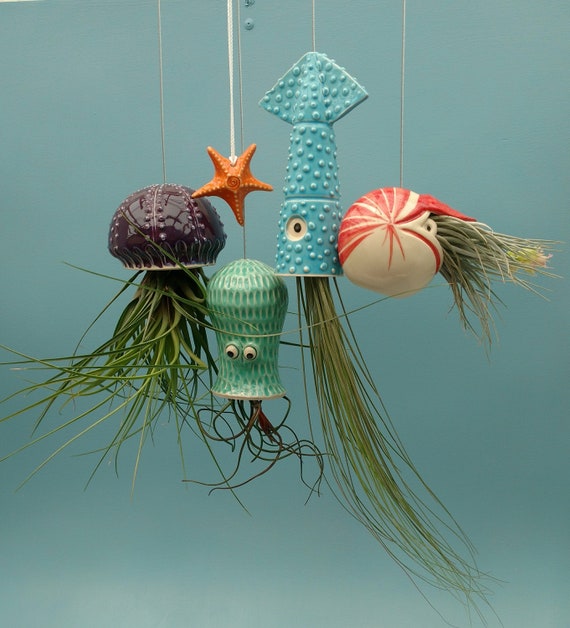 Hanging Air Plant Holders Small Jellyfish 