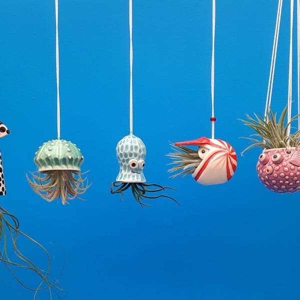 An Octopus Garden, Collection of 5 Mini Hanging Air Planters