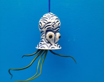 A Mini Wave Octopus, Air Plant Hanger, Valentine's Day