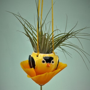 May include: A yellow ceramic bird planter with black eyes and a black beak, hanging from a yellow cord. The planter is filled with a green air plant and has a yellow flower petal design around the rim.