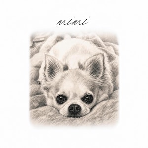 Arte personalizado para mascotas