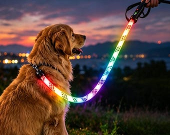 LED Dog Leash, 9 Light Modes, Power Display, 1.5M Nylon (Rechargeable)