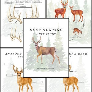 May include: A Deer Hunting Unit Study educational print set featuring watercolour illustrations of deer, anatomy diagrams of antlers and a buck, and text labels including Anatomy of Antlers, Deer Family, and Wildandrootedkids.