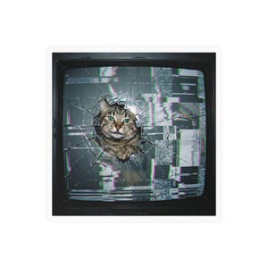 May include: A sticker featuring a brown tabby cat peering through a hole in a shattered television screen. The screen displays digital static with glitchy gray, white, and purple patterns. The cat has green eyes and is centered in the frame.