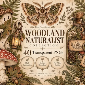Könnte beinhalten: Ein digitales Grafikset mit dem Titel FernFableGrove Woodland Naturalist Collection mit 40 transparenten PNGs. Das Bild zeigt einen Geist mit Eichelkappe, einen Nachtfalter, eine Glasflasche mit Pflanzen, einen Schlüssel und einen roten Pilz.