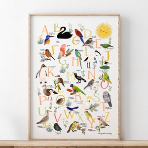 ABC / Pájaro Australiano Póster