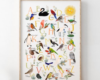 ABC | Poster Oiseau Australiana