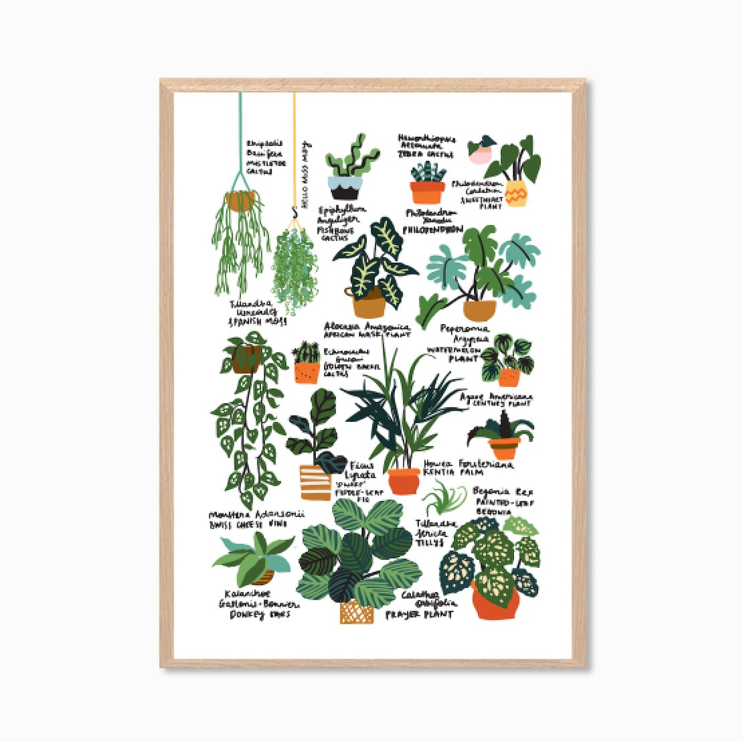 PLANTS Hello Plant Lover Guide II Poster Etsy