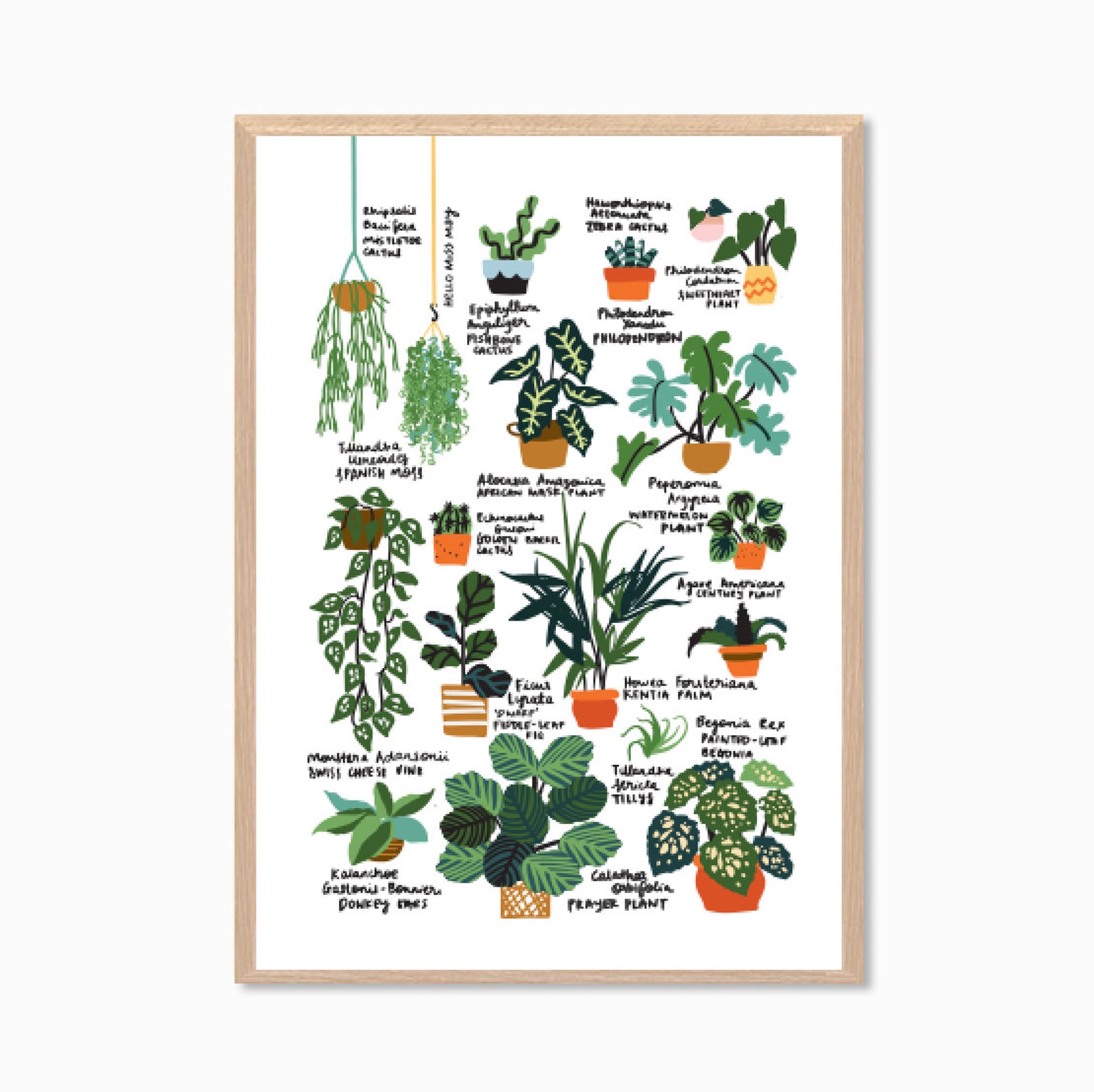 PLANTS Hello Plant Lover Guide II Poster Etsy UK
