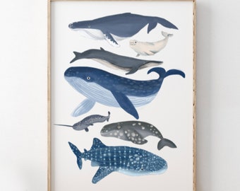 Ocean | Whale Poster