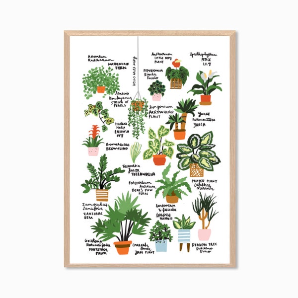 PLANTS | Hello Plant Lover Guide III Poster