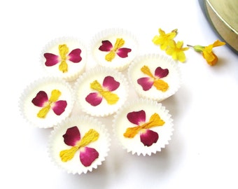 Fondants pour le bain aux fruits des îles - Boîte de 6