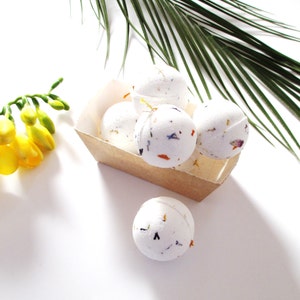 South Pacific Petite Bath Bombs - Box of 6