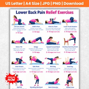 Puede incluir: Un póster digital titulado Lower Back Pain Relief Exercises que presenta dieciséis ilustraciones de una persona con ropa deportiva rosa y azul realizando varios estiramientos y movimientos con instrucciones y conteo de repeticiones.