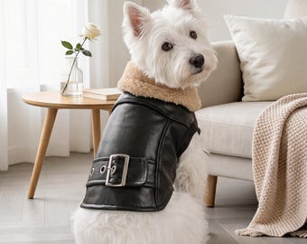 Può includere: Un cane West Highland White Terrier bianco indossa una giacca in similpelle nera con un colletto in finta pelliccia beige. La giacca presenta una fibbia in metallo argentato in vita e cuciture visibili lungo i bordi.