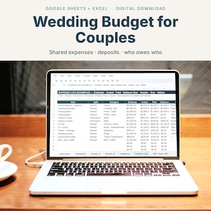 Wedding Budget Spreadsheet for Couples, Google Sheets & Excel Wedding Planner, Shared Expense and Deposit Tracker, Digital Download