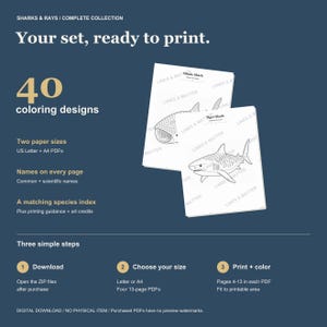 Puede incluir: Un conjunto de descarga digital con 40 dise&ntilde;os para colorear de tiburones y rayas en formatos PDF US Letter y A4. Las p&aacute;ginas incluyen nombres comunes y cient&iacute;ficos, un &iacute;ndice de especies y gu&iacute;a de impresi&oacute;n. El texto incluye Sharks & Rays / Complete Collection, Your set, ready to print, 40 coloring designs y Three simple steps.