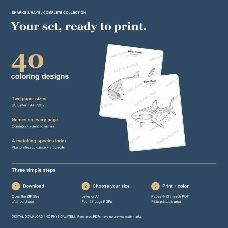 Puede incluir: Un conjunto de descarga digital con 40 dise&ntilde;os para colorear de tiburones y rayas en formatos PDF US Letter y A4. Las p&aacute;ginas incluyen nombres comunes y cient&iacute;ficos, un &iacute;ndice de especies y gu&iacute;a de impresi&oacute;n. El texto incluye Sharks & Rays / Complete Collection, Your set, ready to print, 40 coloring designs y Three simple steps.