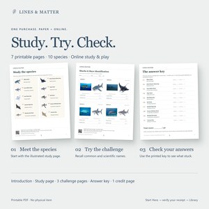 May include: A set of seven printable educational pages titled Study. Try. Check. featuring ten shark and ray species. The pages include a study guide with illustrations, identification challenge sheets with blank lines, and an answer key with text.
