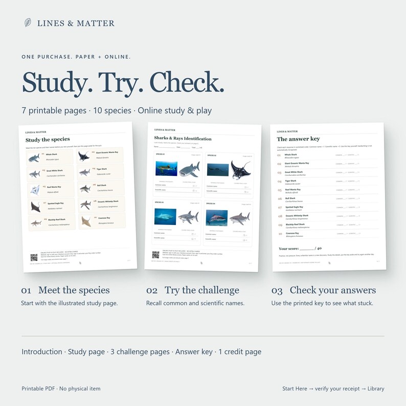 May include: A set of seven printable educational pages titled Study. Try. Check. featuring ten shark and ray species. The pages include a study guide with illustrations, identification challenge sheets with blank lines, and an answer key with text.