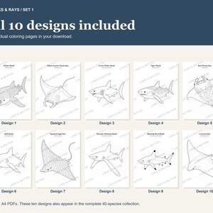 May include: A digital collection of 10 shark and ray coloring pages titled SHARKS & RAYS / SET 1. The set includes line art illustrations of a whale shark, manta ray, great white shark, tiger shark, bull shark, eagle ray, and other marine species.