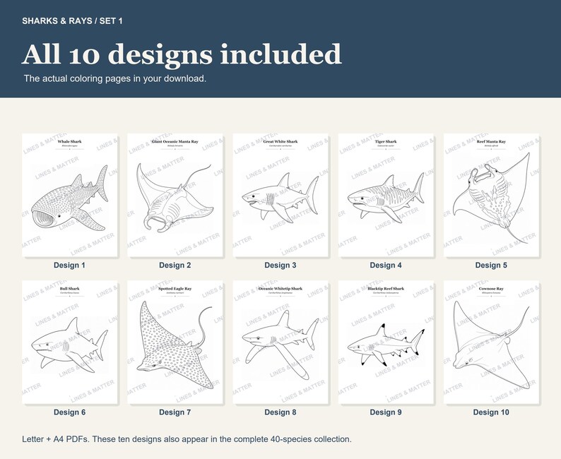 May include: A digital collection of 10 shark and ray coloring pages titled SHARKS & RAYS / SET 1. The set includes line art illustrations of a whale shark, manta ray, great white shark, tiger shark, bull shark, eagle ray, and other marine species.