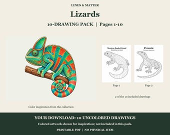 Lizards Coloring Pages 1-10: 10-Page Printable Pack, Digital PDF