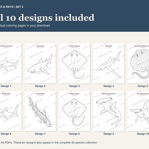 May include: A digital collection of ten black and white coloring pages featuring sharks and rays. The set includes illustrations of a Caribbean Reef Shark, Lemon Shark, Southern Stingray, Blue Shark, Bluespotted Ribbontail Ray, Shortfin Mako, Leopard Shark, Atlantic Stingray, Scalloped Hammerhead, and Great Hammerhead. Each page is labeled with the species name.
