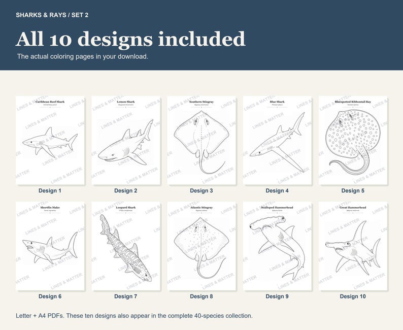 May include: A digital collection of ten black and white coloring pages featuring sharks and rays. The set includes illustrations of a Caribbean Reef Shark, Lemon Shark, Southern Stingray, Blue Shark, Bluespotted Ribbontail Ray, Shortfin Mako, Leopard Shark, Atlantic Stingray, Scalloped Hammerhead, and Great Hammerhead. Each page is labeled with the species name.