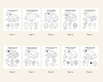 Frogs Coloring Pages 11-20: 10-Page Printable Pack, Digital PDF