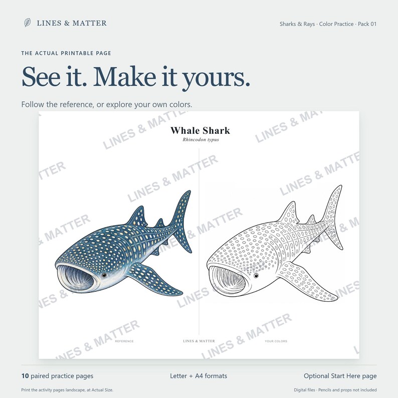 K&ouml;nnte beinhalten: Eine druckbare Malvorlage mit dem Titel Whale Shark Rhincodon typus, die links eine farbige Referenzillustration und rechts eine schwarz-wei&szlig;e Strichzeichnung zeigt. Die Seite enth&auml;lt den Text Lines & Matter, See it. Make it yours.