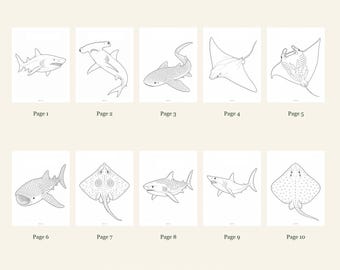 Sharks And Rays Coloring Pages 1-10: 10-Page Printable Pack, Digital PDF