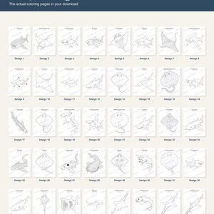 Puede incluir: Una colecci&oacute;n digital de 40 p&aacute;ginas para colorear con varias especies de tiburones y rayas. La imagen muestra una cuadr&iacute;cula de 40 ilustraciones individuales en blanco y negro, cada una numerada, titulada Sharks & Rays.