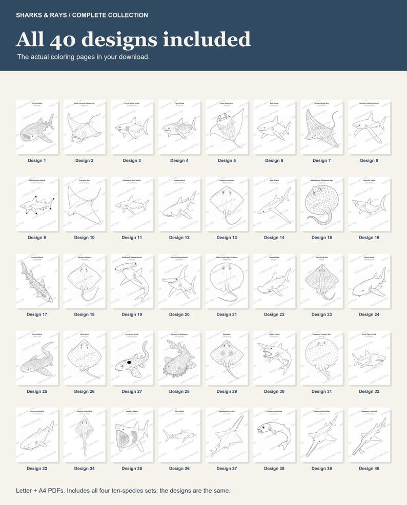 Puede incluir: Una colecci&oacute;n digital de 40 p&aacute;ginas para colorear con varias especies de tiburones y rayas. La imagen muestra una cuadr&iacute;cula de 40 ilustraciones individuales en blanco y negro, cada una numerada, titulada Sharks & Rays.