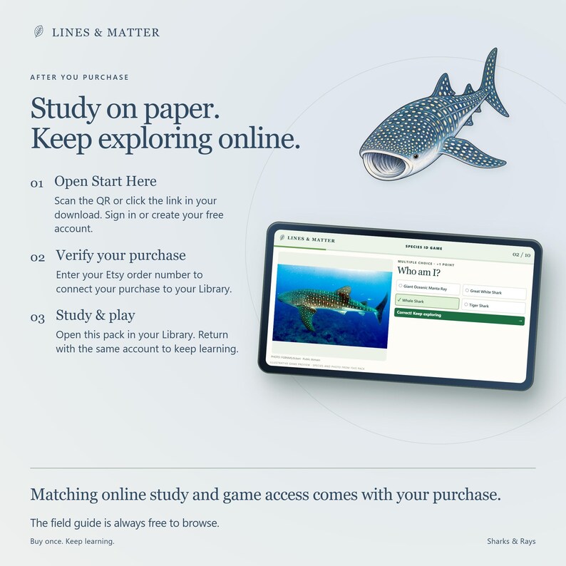 May include: An instructional graphic titled Lines & Matter featuring a whale shark illustration and a tablet screen showing a quiz. Text includes Study on paper. Keep exploring online, steps 01 to 03, and Matching online study and game access.