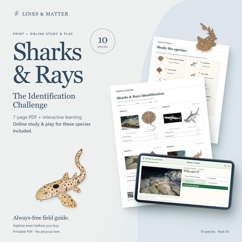 May include: A digital and printable educational set titled Sharks & Rays: The Identification Challenge by Lines & Matter. It includes a 7-page PDF with identification worksheets, a study guide, and an interactive online quiz featuring 10 species.