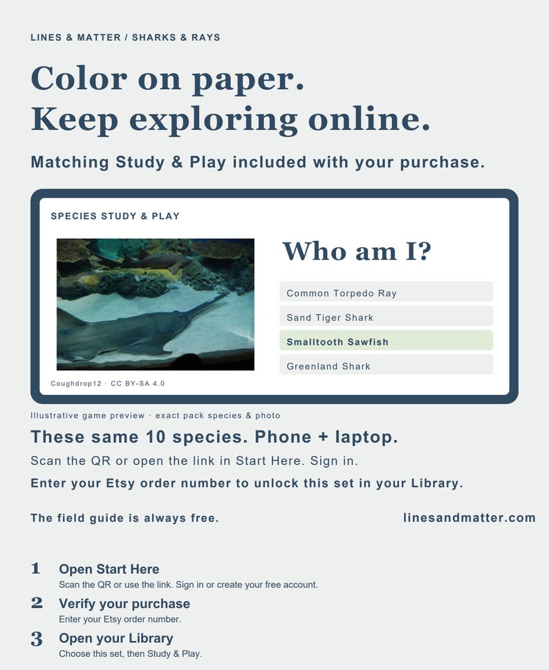 Op de afbeelding: Een digitale informatieve flyer getiteld Lines & Matter / Sharks & Rays. Het bevat een preview van het spel Species Study & Play met een foto van een zaagvis, een meerkeuzevraag en instructies om de set online te openen en te gebruiken.