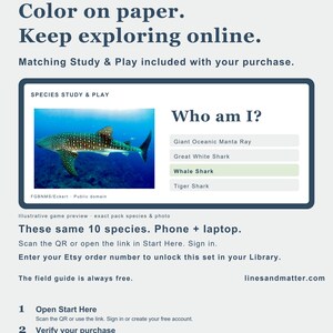 May include: A digital informational flyer titled Lines & Matter / Sharks & Rays. It features a quiz titled Who am I? with a photograph of a whale shark. Instructions include scanning a QR code, entering an Etsy order number, and visiting linesandmatter.com to access a digital library of species study and play materials.