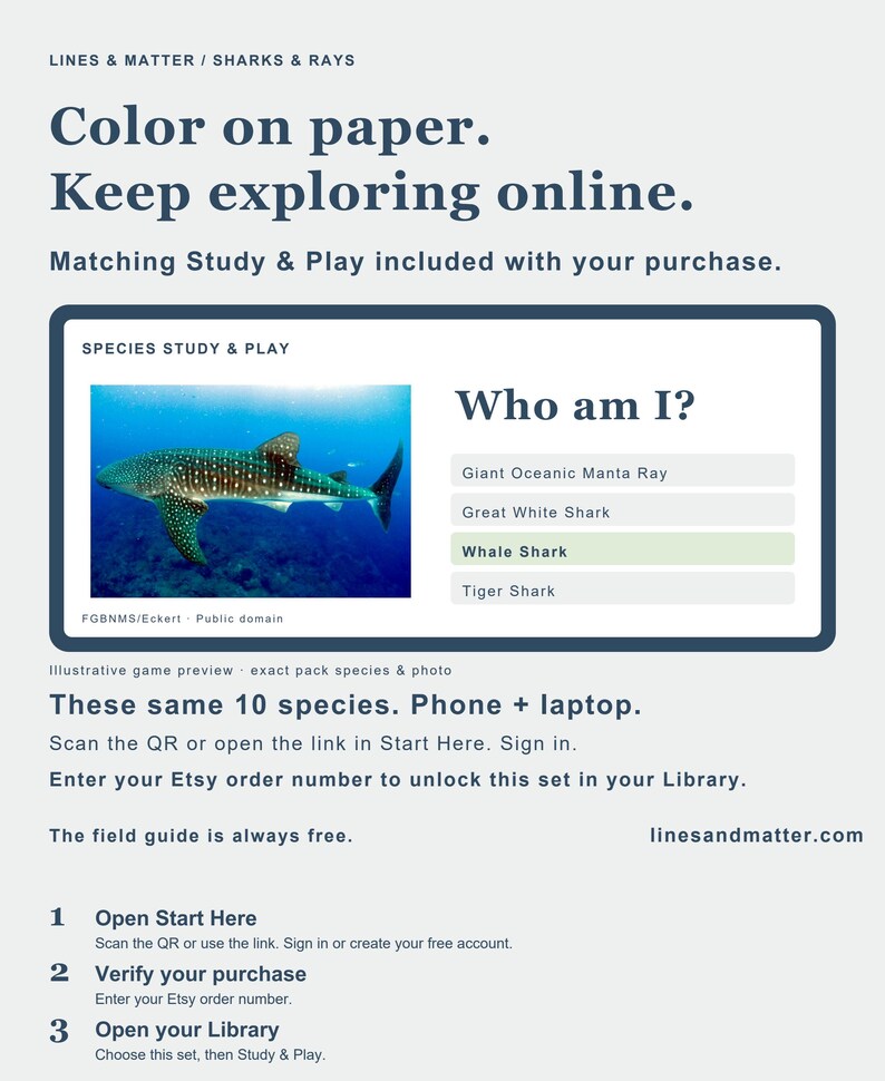 May include: A digital informational flyer titled Lines & Matter / Sharks & Rays. It features a quiz titled Who am I? with a photograph of a whale shark. Instructions include scanning a QR code, entering an Etsy order number, and visiting linesandmatter.com to access a digital library of species study and play materials.