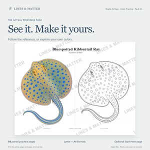 May include: A printable coloring page featuring a Bluespotted Ribbontail Ray. The left side shows a colored reference image of the ray with blue spots and yellow eyes, while the right side displays a black and white line art version for coloring.