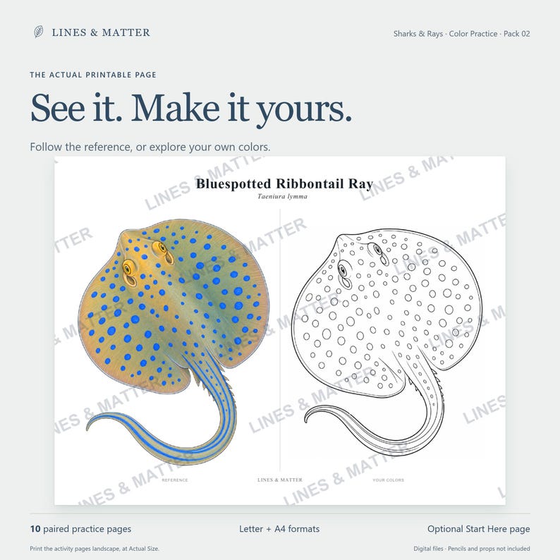 May include: A printable coloring page featuring a Bluespotted Ribbontail Ray. The left side shows a colored reference image of the ray with blue spots and yellow eyes, while the right side displays a black and white line art version for coloring.