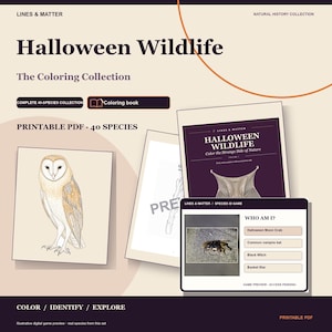 May include: A digital coloring collection titled Halloween Wildlife featuring a printable PDF with 40 species. The set includes an owl illustration, a book cover, and a Who Am I species identification game preview with a crab image.