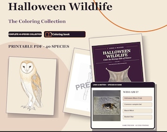 May include: A digital coloring collection titled Halloween Wildlife featuring a printable PDF with 40 species. The set includes an owl illustration, a book cover, and a Who Am I species identification game preview with a crab image.