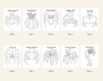 Crustaceans Coloring Pages 1-10: 10-Page Printable Pack, Digital PDF
