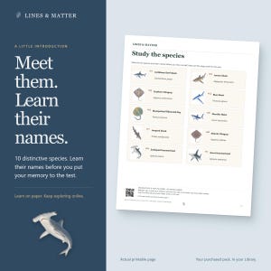May include: A printable educational sheet titled Study the species featuring illustrations and names of ten marine animals including sharks and rays. The page includes a QR code for online access and is presented against a dark blue background.