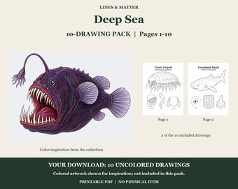 Deep Sea Coloring Pages 1-10: 10-Page Printable Pack, Digital PDF