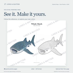 May include: A printable coloring page titled Whale Shark Rhincodon typus featuring a colored reference illustration on the left and a matching black and white line art outline on the right. The text See it. Make it yours. appears at the top.
