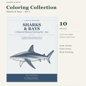 May include: A digital coloring collection titled Sharks & Rays - Set 2 by Lines & Matter. The cover features a detailed blue shark illustration, the text 10 Species, and the phrases Look closely, Color freely, Keep learning. It is a digital download.