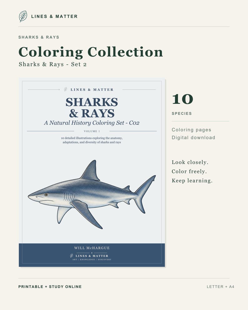 May include: A digital coloring collection titled Sharks & Rays - Set 2 by Lines & Matter. The cover features a detailed blue shark illustration, the text 10 Species, and the phrases Look closely, Color freely, Keep learning. It is a digital download.